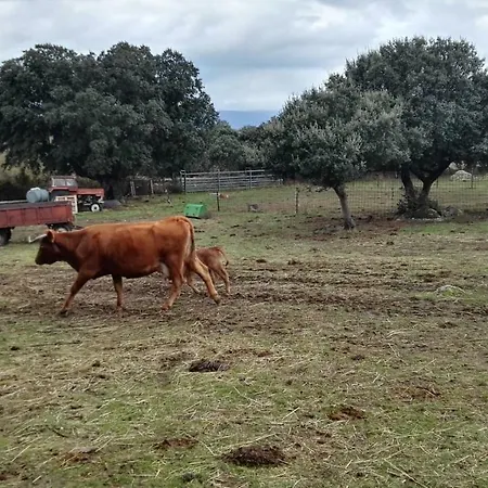 La Fragua * Villar de Corneja