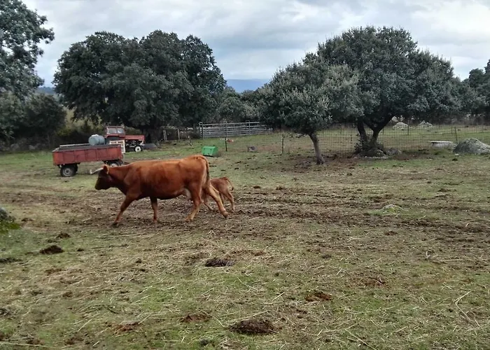 La Fragua * Villar de Corneja